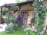 842ac4ad-Picture 714.jpg